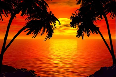 Another Tropical Sunset By Intothemoonbeam Customization Wallpapers ...