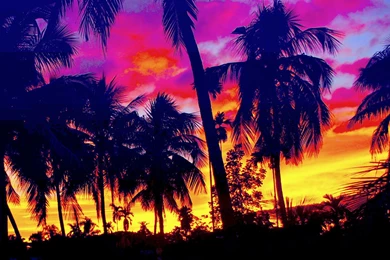 Tropics Sunset   (