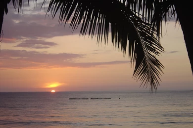 Sunset Wallpapers Palms, Island Sceneries