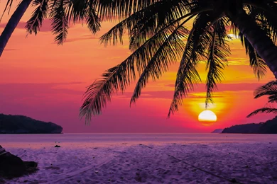 Tropical Sunset
