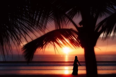 Tropical Sunset HD Desktop Wallpapers : Widescreen : High ...