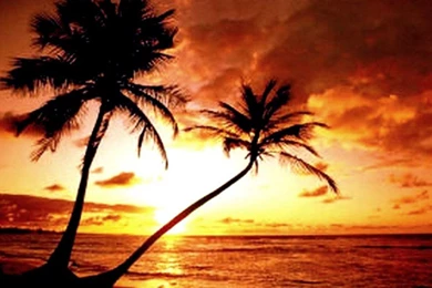 Free Beach Sunset Wallpapers   Wallpapers Cave