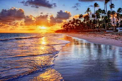 Sunset, Tropical, Ocean, Sand, Sea, Palms, Beach, Shore :: Wallpapers