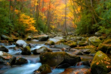 Super Nature Wallpapers   HD Wallpapers Pretty