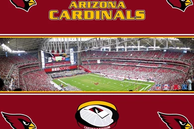 ProFootballWallpaper.com :: The Best NFL Team Desktop Wallpapers ...