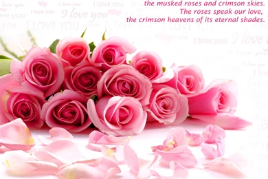 Love Quote Backgrounds