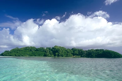 National Park, Venezuela Wallpapers And Images   Wallpapers ...