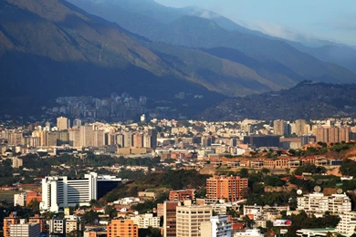 Wallpapers Venezuela Arboles Y Bosques Perturbadores Taringa ...