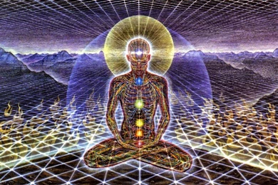 Alex Grey Pics