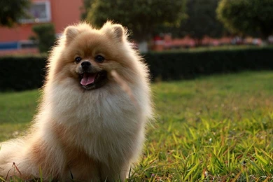 High Quality Enduro Wallpapers