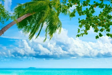 Tropical Beach Resorts HD Desktop Wallpapers : Widescreen : High ...