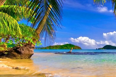 Shore Palms Tropical Beach HD Desktop Wallpapers : High Definition ...