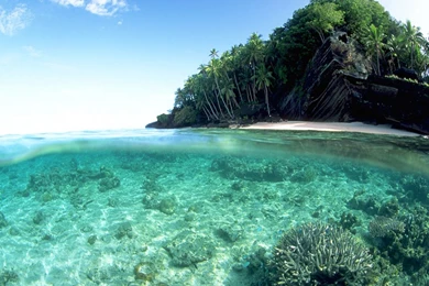 Tropical Beach HD Wallpapers