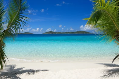 Tropical Beach Pictures Hammock Wallpapers For Iphone   Kemecer.com