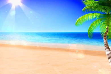 Tropical Beach Pictures Hammock Wallpaper Images   Kemecer.com