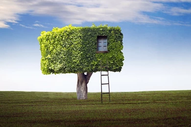 Tree House Abstract Wallpapers