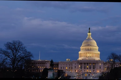 Washington Capitals Wallpapers Free Download On Wallpapers Bros