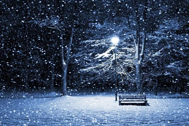 Real Snowflake Falling HD Wallpapers