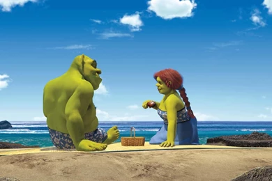 Shrek And Fiona Full HD Backgrounds Image For Android   Cartoons ...