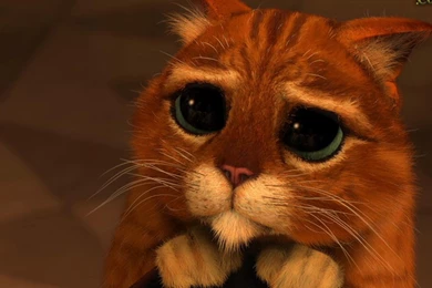 Shrek The Third Hd Wallpapers   (