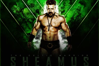 Sheamus WWE New HD Wallpapers 2013 14