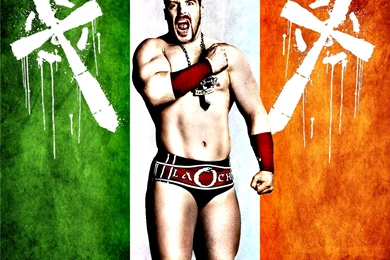 Sheamus WWE New HD Wallpapers 2013 14