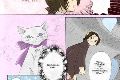 The Cat Returns By Creeping Attack On DeviantArt