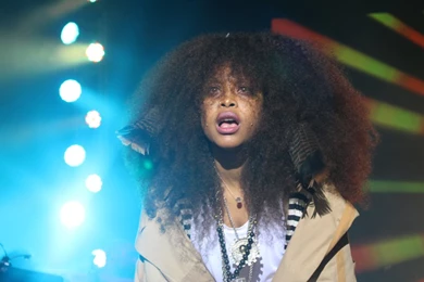 I Came, I Saw, And I Was Conquered By Erykah Badu And The 2015 ...