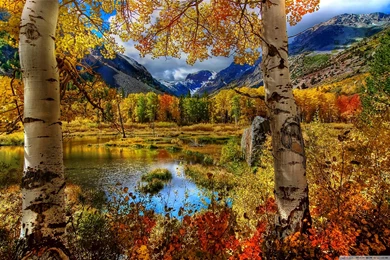 Perfect Autumn Scenery Wallpapers Full HD [2560x1600]   Free ...