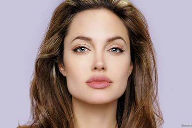 8474) Angelina Jolie Desktop HD Wallpapers   WalOps.com