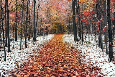 Free Hd Winter Wallpapers For Desktop Images