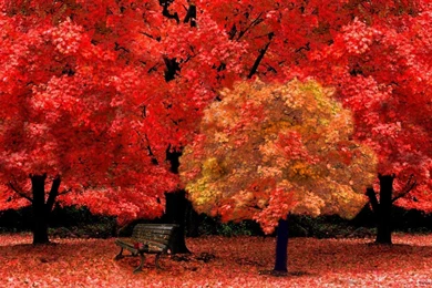 Free Hd Winter Wallpapers For Desktop Images