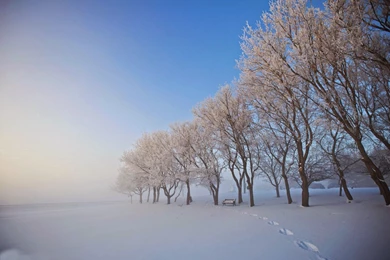 Very Beautiful Winter Wallpapers