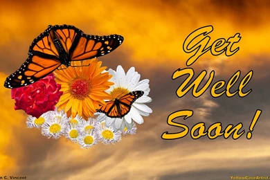 Get Well Soon Favourites By Storybook03 On DeviantArt