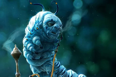 Caterpillar Alice In Wonderland   Wallpaper.