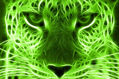 Green 3D Leopard Wallpaper, Green Backgrounds, Pictures And Images