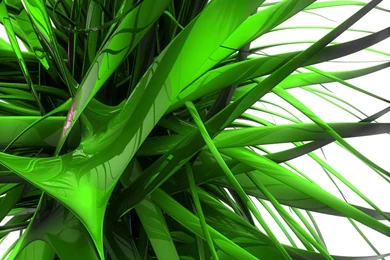 Green 3D Wallpapers Desktop Backgrounds