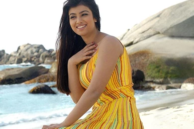 Ayesha Takia HD Wallpapers Photos Pics Images