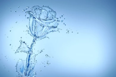 Cool Water Flower Wallpapers