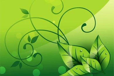 Elegant Nature Background, Vector Images   365PSD.com