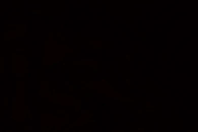 Black Wallpapers Desktop Wallpapers Black Windows 7 Wallpapers