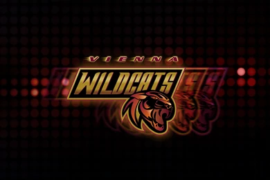 Vienna Wildcats Cheerleading   Wallpapers
