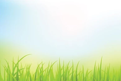 Abstract Green Grass Backgrounds With Blue Sky (Free), Vector File ...