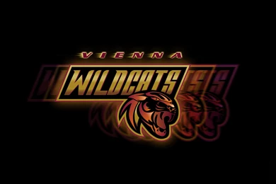 Vienna Wildcats Cheerleading   Wallpapers