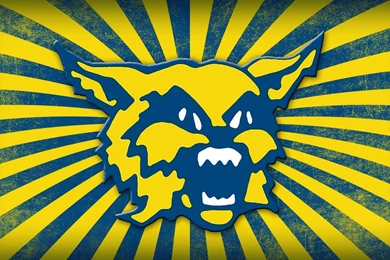 St Ignatius Wildcats Wallpapers