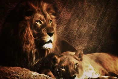 Other: Majestic Lion Animals King Wildcats Free Wallpapers For HD ...