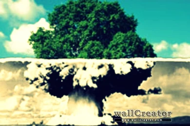 Mushroom Cloud   1366 / 768 Wallpapers