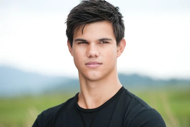 Taylor Lautner Wallpaper, Actor, Model, Screensaver Full HD ...