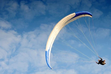 New City Dock HD Wall View