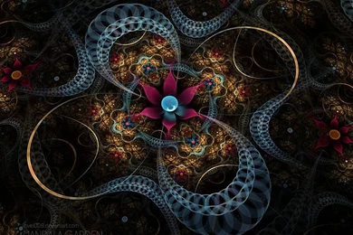 Gorgeous Mandala Garden Fractal Art Wallpapers 43   Wallcoo.net